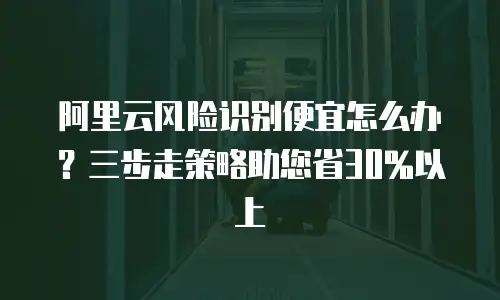 阿里云风险识别便宜怎么办？三步走策略助您省30%以上  