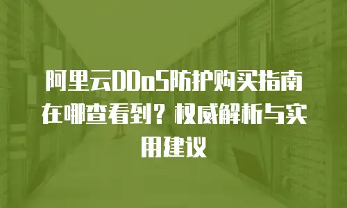 阿里云DDoS防护购买指南在哪查看到？权威解析与实用建议