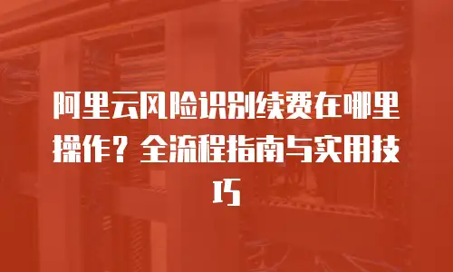 阿里云风险识别续费在哪里操作？全流程指南与实用技巧  
