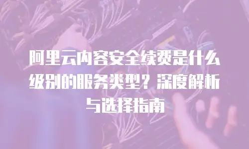 阿里云内容安全续费是什么级别的服务类型？深度解析与选择指南