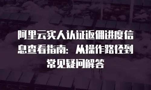 阿里云实人认证返佣进度信息查看指南：从操作路径到常见疑问解答