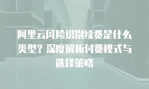 阿里云风险识别续费是什么类型？深度解析付费模式与选择策略