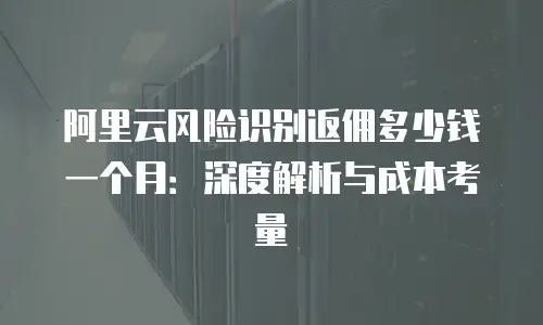 阿里云风险识别返佣多少钱一个月：深度解析与成本考量