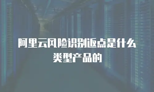 阿里云风险识别返点是什么类型产品的