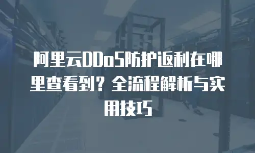 阿里云DDoS防护返利在哪里查看到？全流程解析与实用技巧  