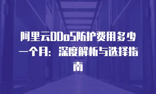 阿里云DDoS防护费用多少一个月：深度解析与选择指南