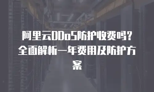 阿里云DDoS防护收费吗？全面解析一年费用及防护方案