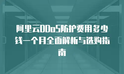 阿里云DDoS防护费用多少钱一个月全面解析与选购指南  