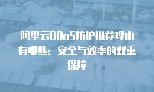 阿里云DDoS防护推荐理由有哪些：安全与效率的双重保障