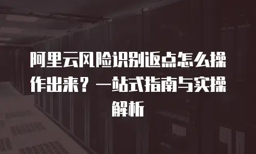 阿里云风险识别返点怎么操作出来？一站式指南与实操解析