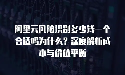 阿里云风险识别多少钱一个合适吗为什么？深度解析成本与价值平衡
