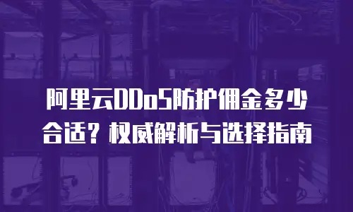 阿里云DDoS防护佣金多少合适？权威解析与选择指南