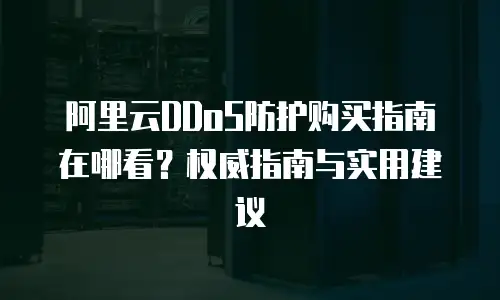 阿里云DDoS防护购买指南在哪看？权威指南与实用建议