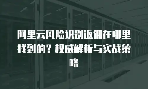 阿里云风险识别返佣在哪里找到的？权威解析与实战策略  