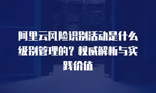 阿里云风险识别活动是什么级别管理的？权威解析与实践价值