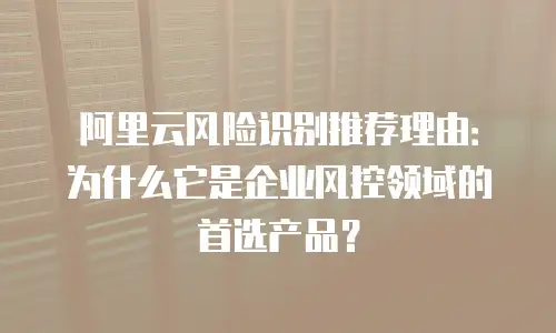 阿里云风险识别推荐理由：为什么它是企业风控领域的首选产品？
