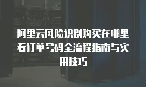 阿里云风险识别购买在哪里看订单号码全流程指南与实用技巧  