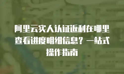 阿里云实人认证返利在哪里查看进度明细信息？一站式操作指南  