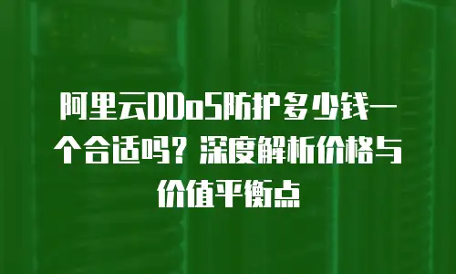 阿里云DDoS防护多少钱一个合适吗？深度解析价格与价值平衡点