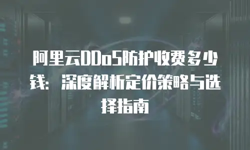 阿里云DDoS防护收费多少钱：深度解析定价策略与选择指南
