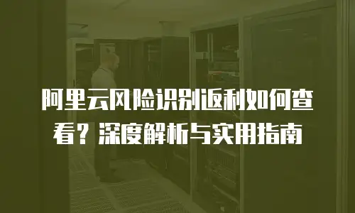 阿里云风险识别返利如何查看？深度解析与实用指南