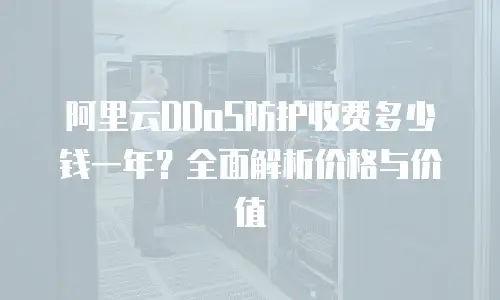 阿里云DDoS防护收费多少钱一年？全面解析价格与价值