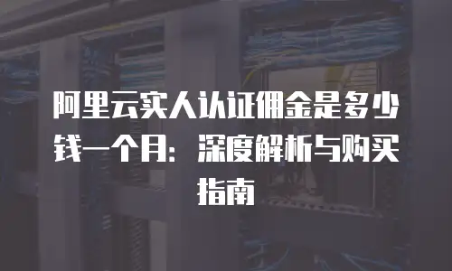 阿里云实人认证佣金是多少钱一个月：深度解析与购买指南