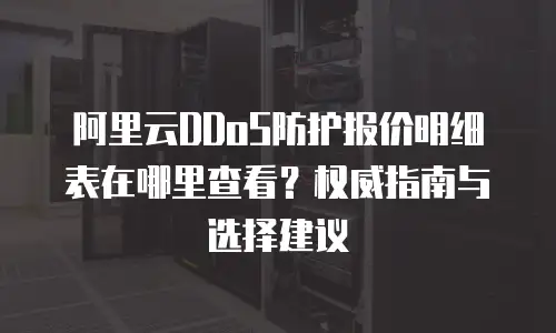 阿里云DDoS防护报价明细表在哪里查看？权威指南与选择建议
