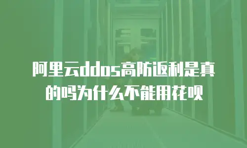 阿里云ddos高防返利是真的吗为什么不能用花呗