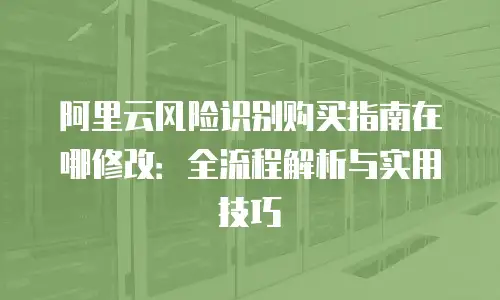 阿里云风险识别购买指南在哪修改：全流程解析与实用技巧