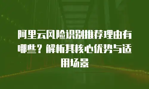 阿里云风险识别推荐理由有哪些？解析其核心优势与适用场景