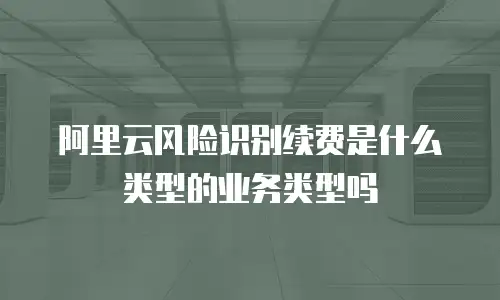 阿里云风险识别续费是什么类型的业务类型吗