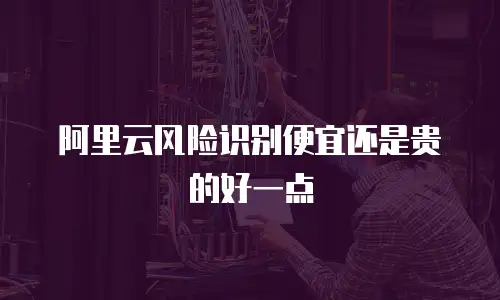 阿里云风险识别便宜还是贵的好一点