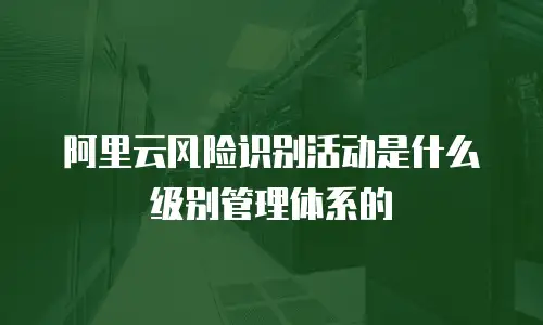阿里云风险识别活动是什么级别管理体系的