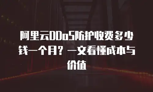 阿里云DDoS防护收费多少钱一个月？一文看懂成本与价值  
