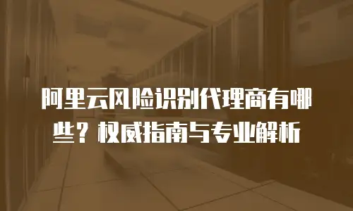阿里云风险识别代理商有哪些？权威指南与专业解析