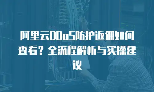 阿里云DDoS防护返佣如何查看？全流程解析与实操建议  