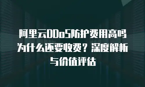 阿里云DDoS防护费用高吗为什么还要收费？深度解析与价值评估