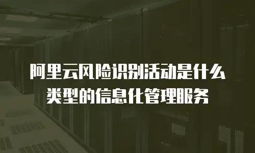 阿里云风险识别活动是什么类型的信息化管理服务