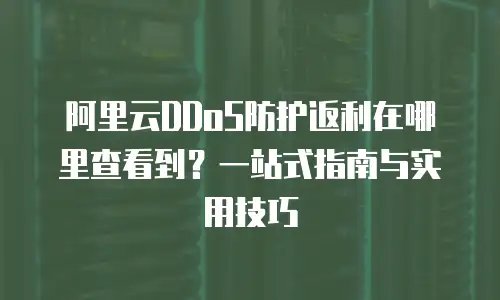 阿里云DDoS防护返利在哪里查看到？一站式指南与实用技巧