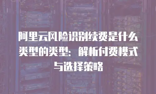 阿里云风险识别续费是什么类型的类型：解析付费模式与选择策略