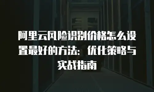 阿里云风险识别价格怎么设置最好的方法：优化策略与实战指南