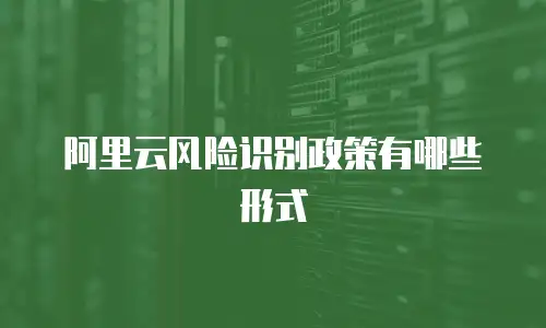 阿里云风险识别政策有哪些形式