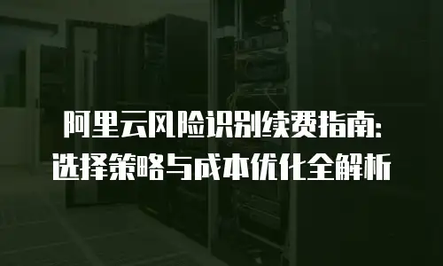阿里云风险识别续费指南：选择策略与成本优化全解析
