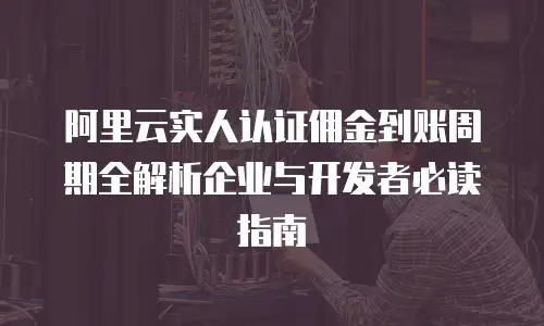 阿里云实人认证佣金到账周期全解析企业与开发者必读指南 