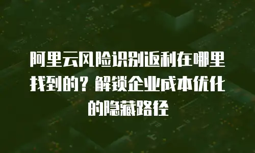 阿里云风险识别返利在哪里找到的？解锁企业成本优化的隐藏路径