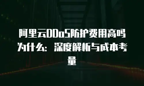 阿里云DDoS防护费用高吗为什么：深度解析与成本考量