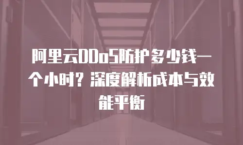 阿里云DDoS防护多少钱一个小时？深度解析成本与效能平衡  