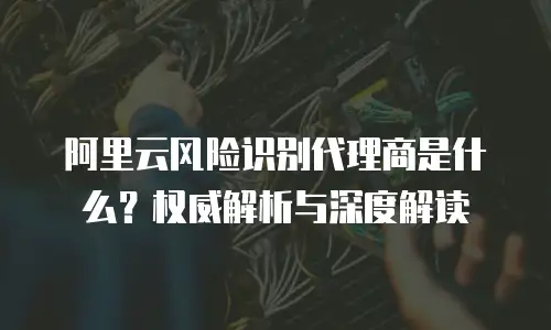 阿里云风险识别代理商是什么？权威解析与深度解读