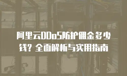 阿里云DDoS防护佣金多少钱？全面解析与实用指南